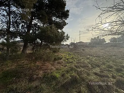 Satılır torpaq sahəsi