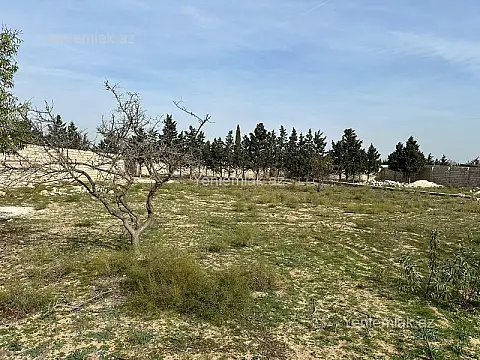 Satılır torpaq sahəsi