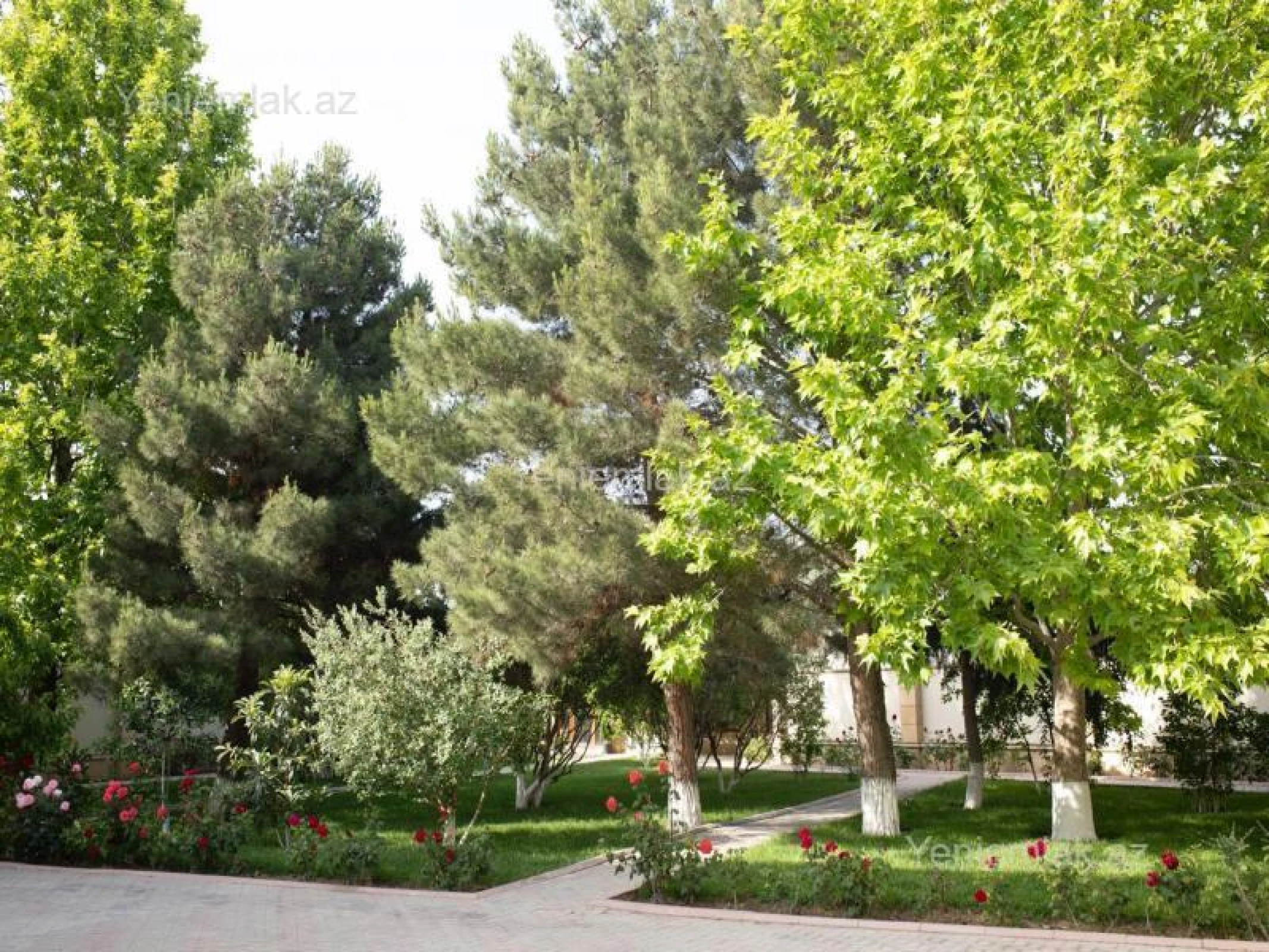 Satılır 6 otaqlı həyət evi 450 m²