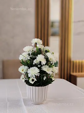 Satılır 2 otaqlı yeni tikili 45 m²