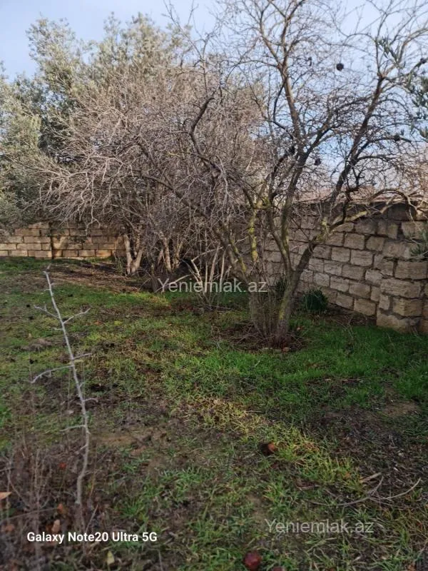 Satılır torpaq sahəsi