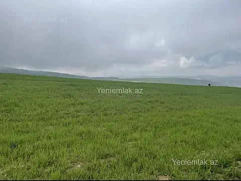 Satılır torpaq sahəsi — Şamaxı