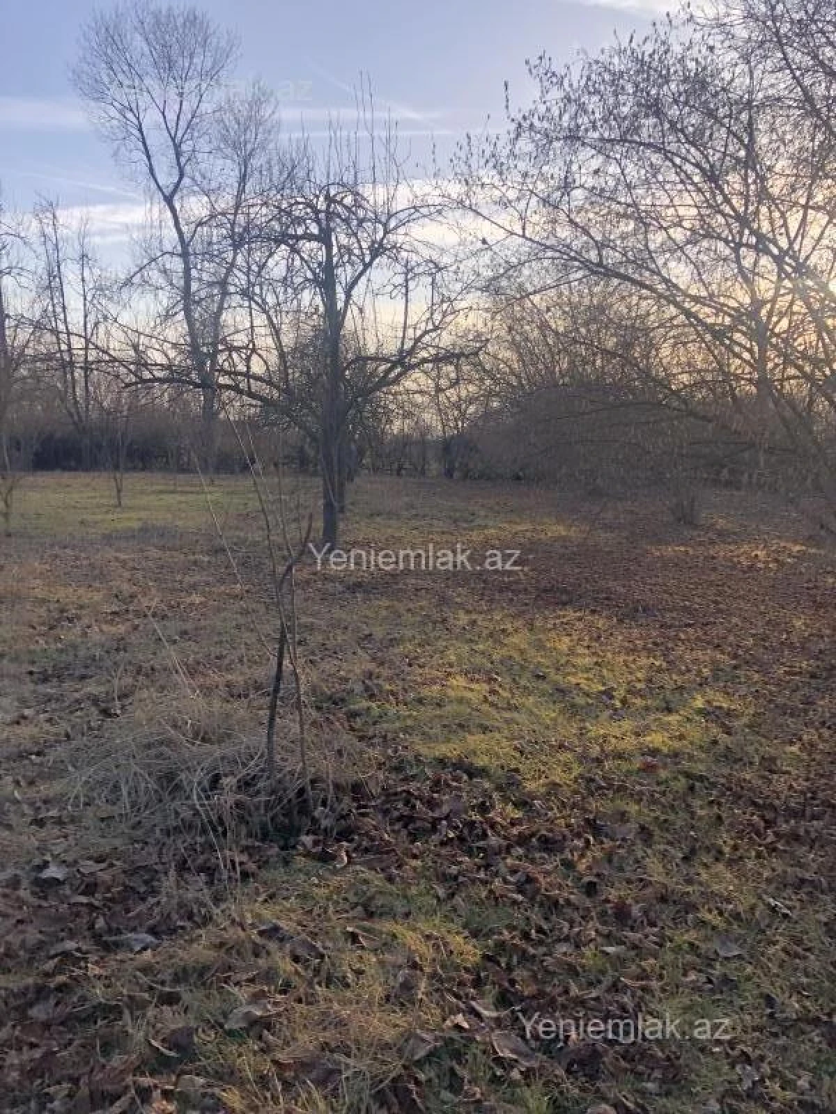 Satılır torpaq sahəsi