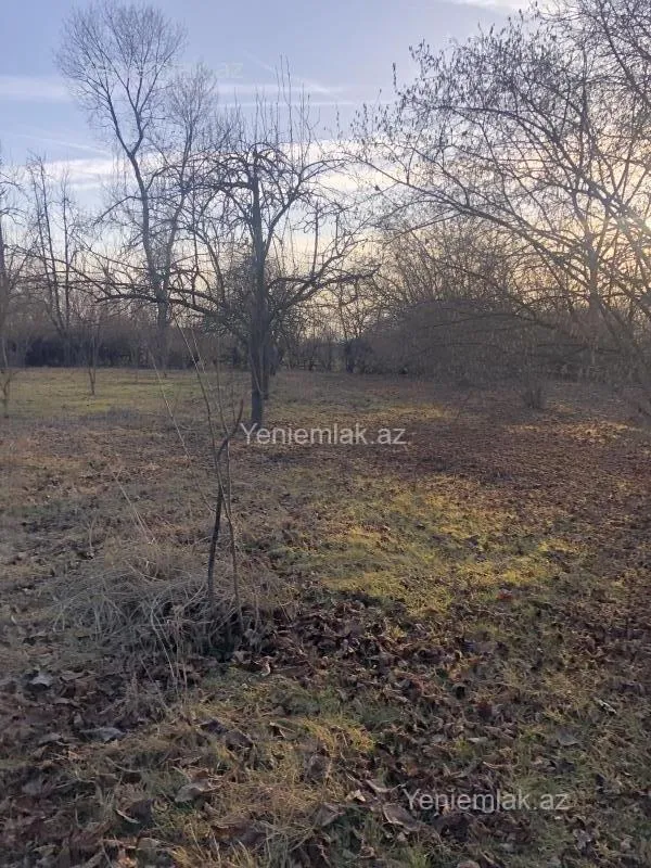 Satılır torpaq sahəsi