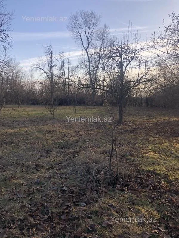 Satılır torpaq sahəsi