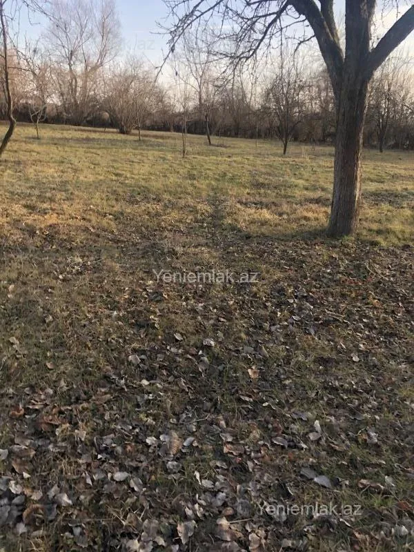 Satılır torpaq sahəsi