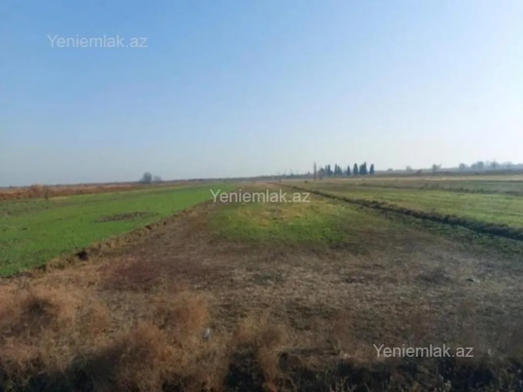 Satılır torpaq sahəsi