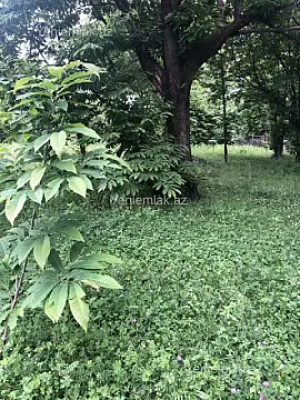 Satılır torpaq sahəsi — Qəbələ