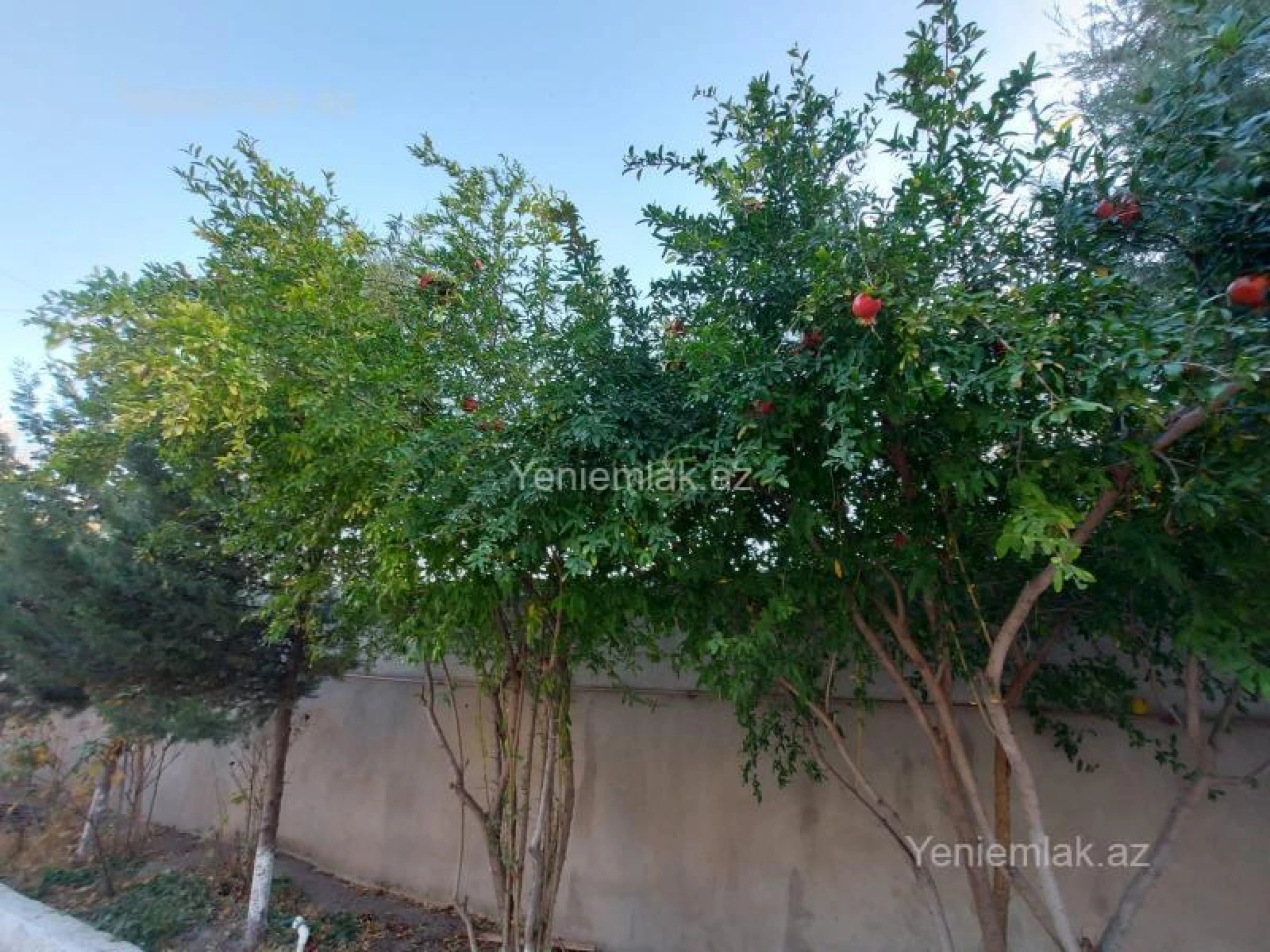 Satılır 8 otaqlı həyət evi 200 m²