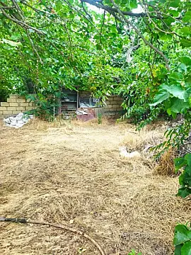 Satılır torpaq sahəsi — Sumqayıt