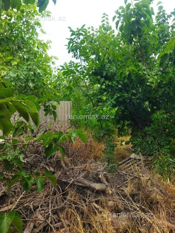 Satılır torpaq sahəsi