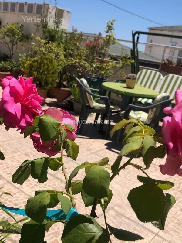 Satılır 6 otaqlı yeni tikili 433 m²