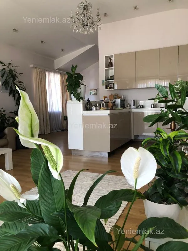 Satılır 6 otaqlı yeni tikili 433 m²