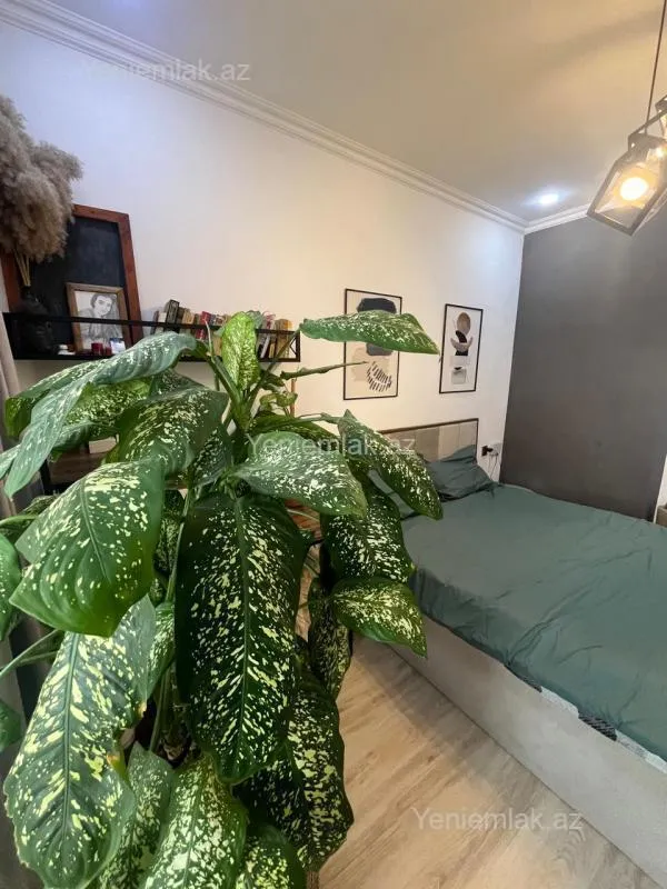 Satılır 2 otaqlı yeni tikili 53 m²