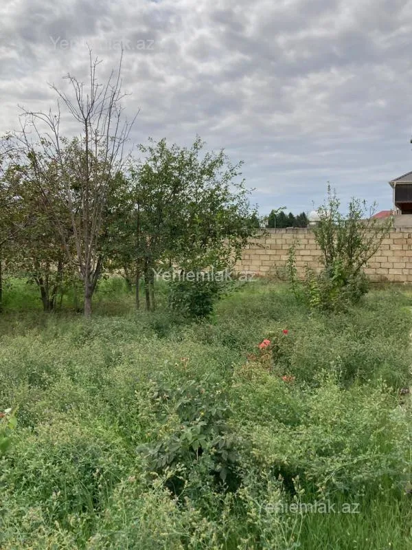 Satılır torpaq sahəsi