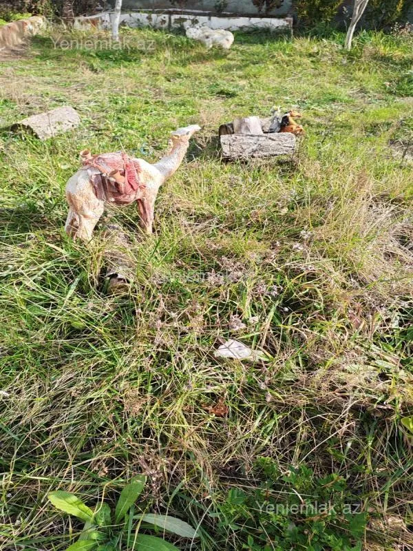 Satılır 4 otaqlı həyət evi 100 m²