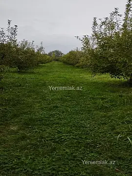 Satılır torpaq sahəsi — Quba