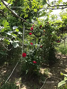 Satılır torpaq sahəsi — Sumqayıt