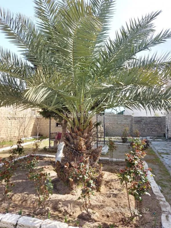 Satılır 5 otaqlı həyət evi 250 m²