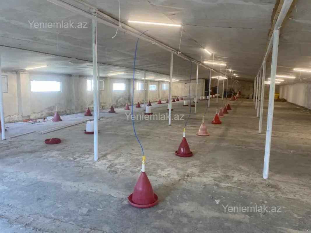 Satılır 5 otaqlı obyekt 1050 m²