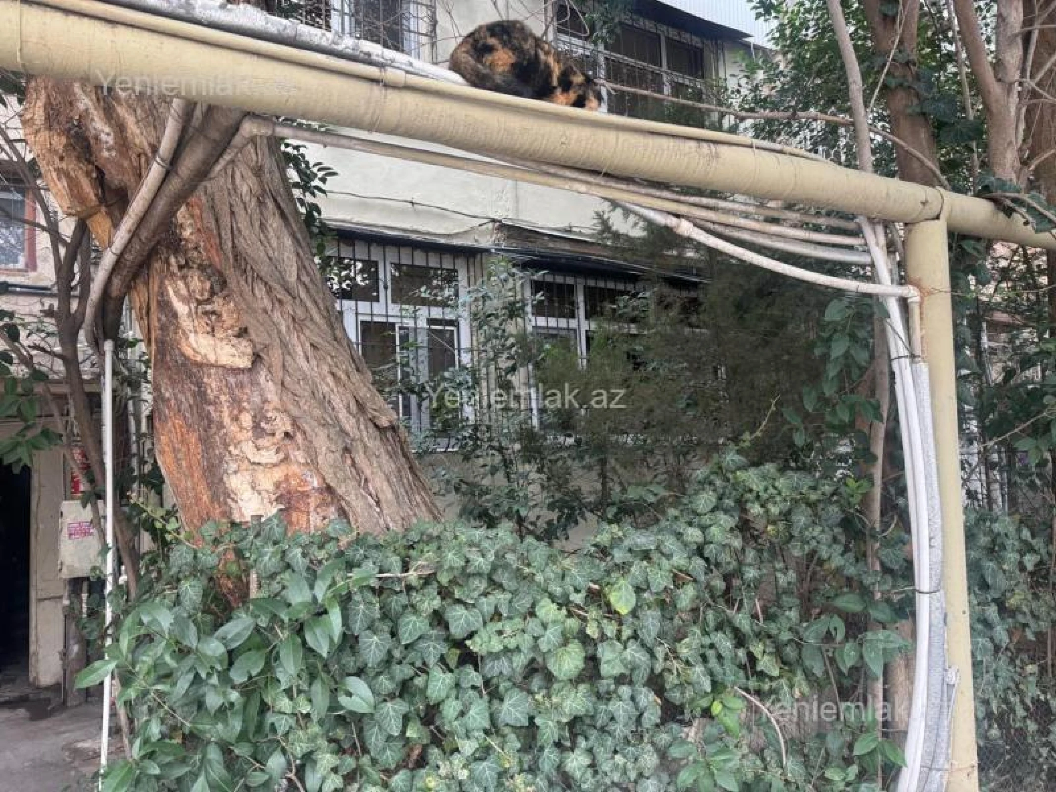 Satılır 4 otaqlı köhnə tikili 110 m²