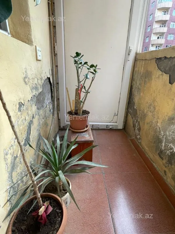 Satılır 3 otaqlı yeni tikili 80 m²