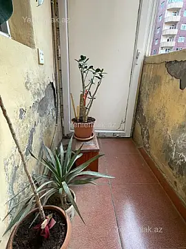 Satılır 3 otaqlı yeni tikili 80 m²