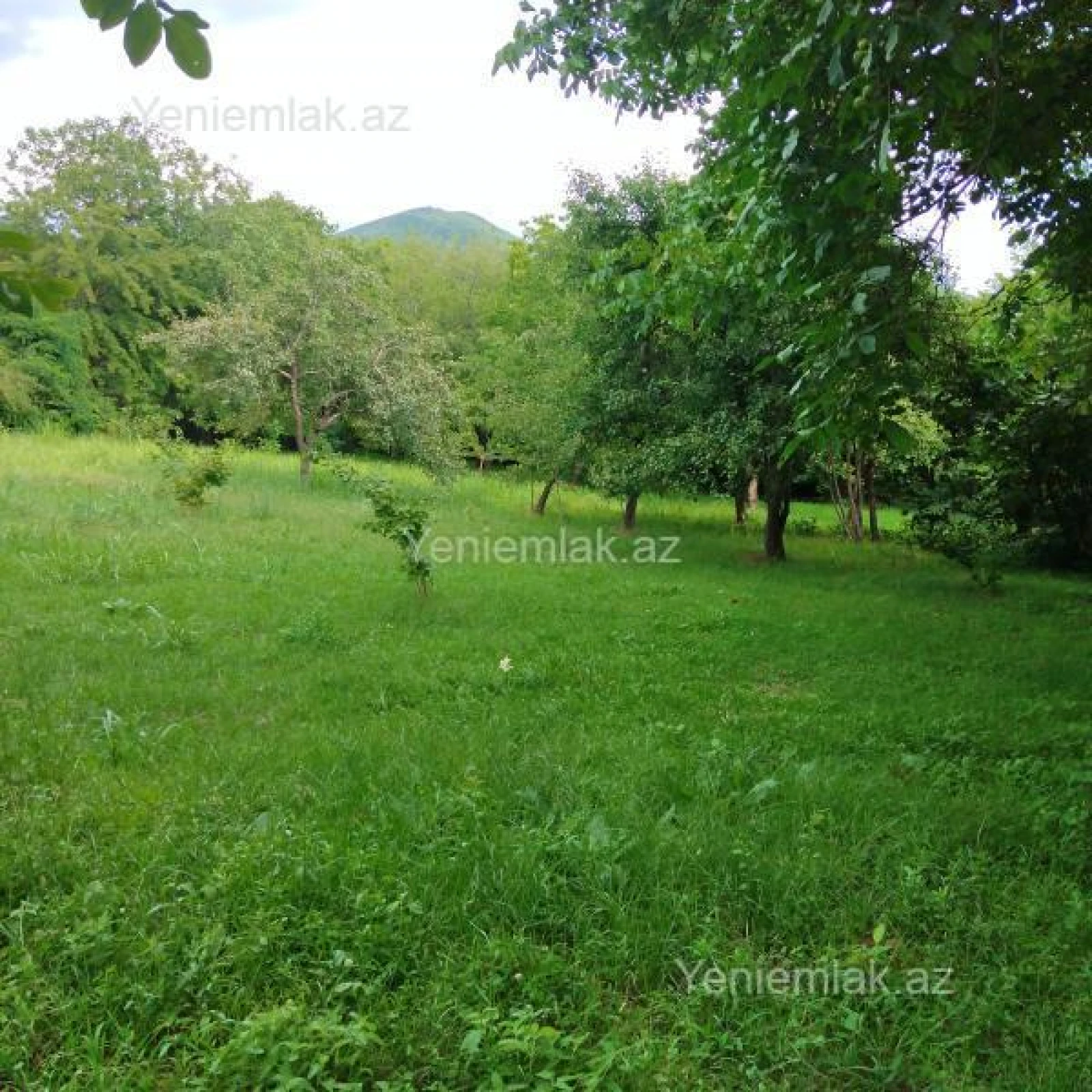 Satılır 6 otaqlı həyət evi 200 m²