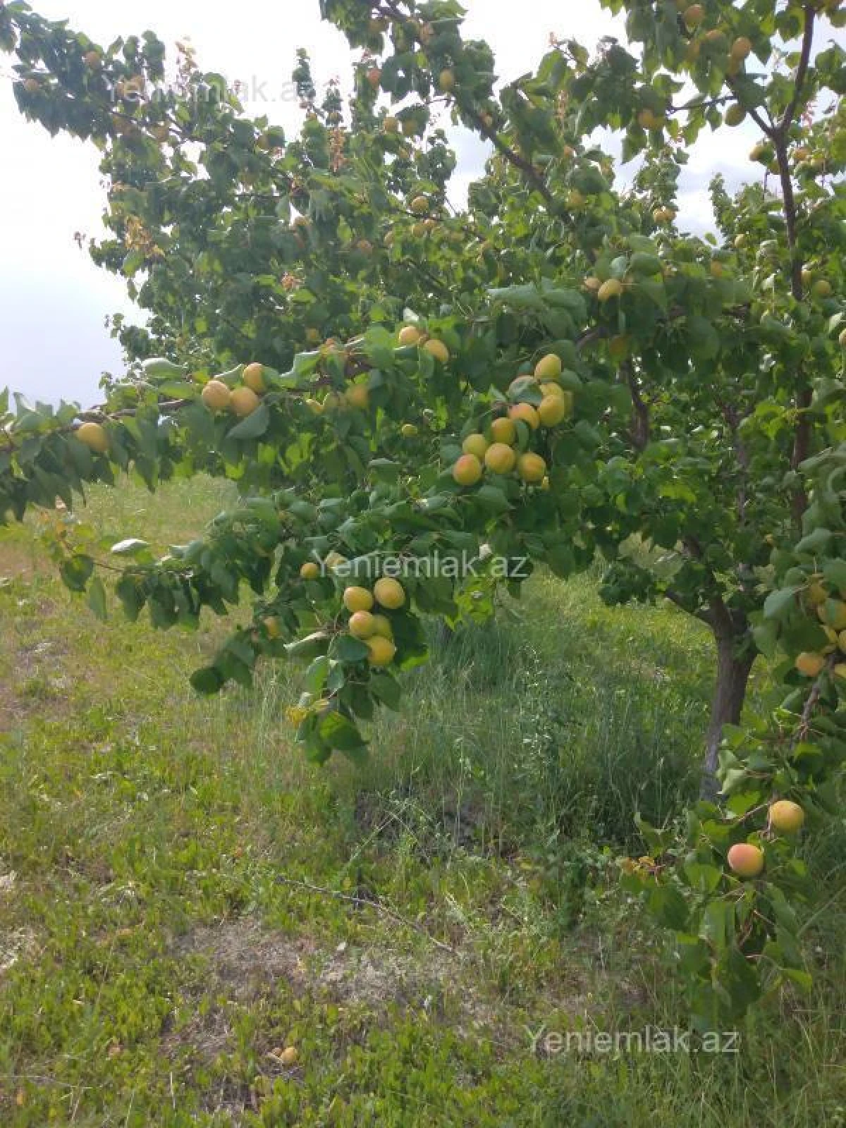 Satılır 6 otaqlı həyət evi 200 m²