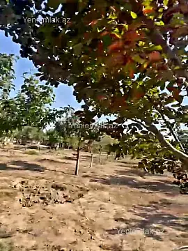 Satılır torpaq sahəsi — Bakı, Sabunçu