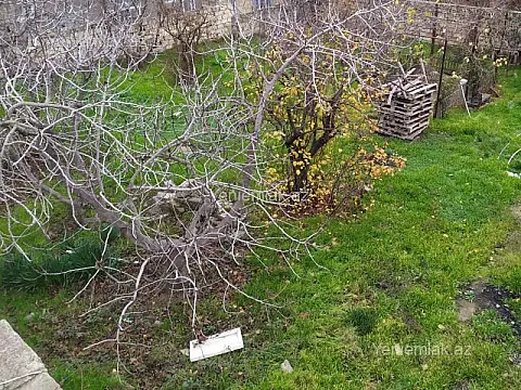 Satılır torpaq sahəsi — Bakı, Binəqədi