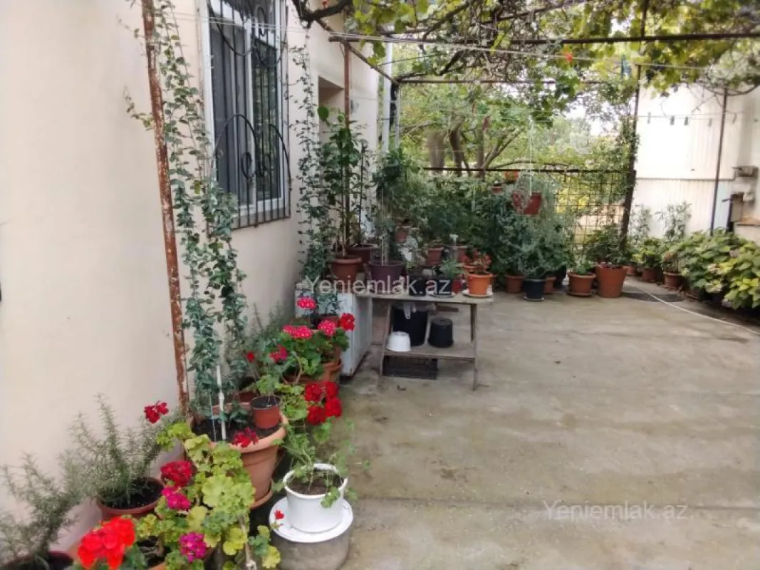 Satılır 3 otaqlı həyət evi 65 m²