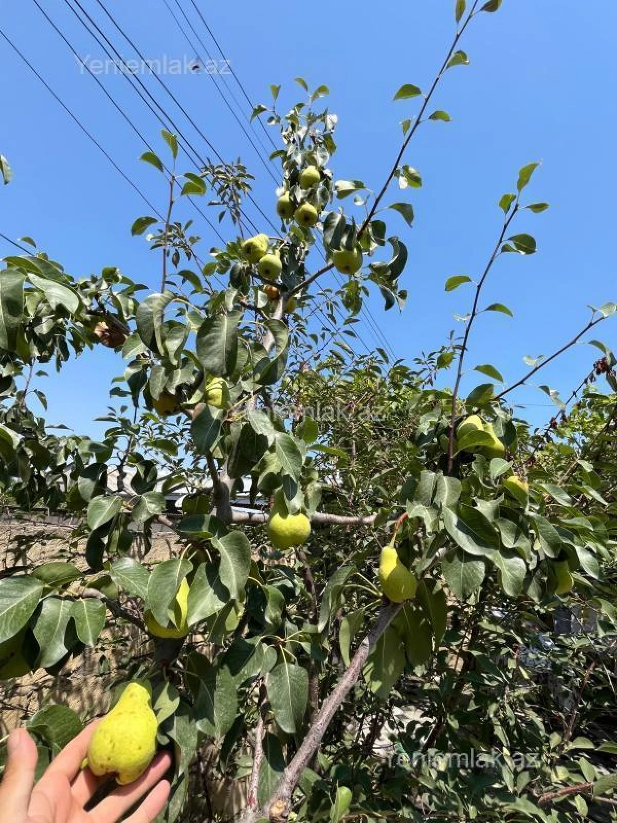 Satılır 4 otaqlı həyət evi 125 m²