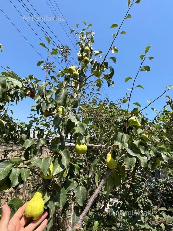 Satılır 4 otaqlı həyət evi 125 m²