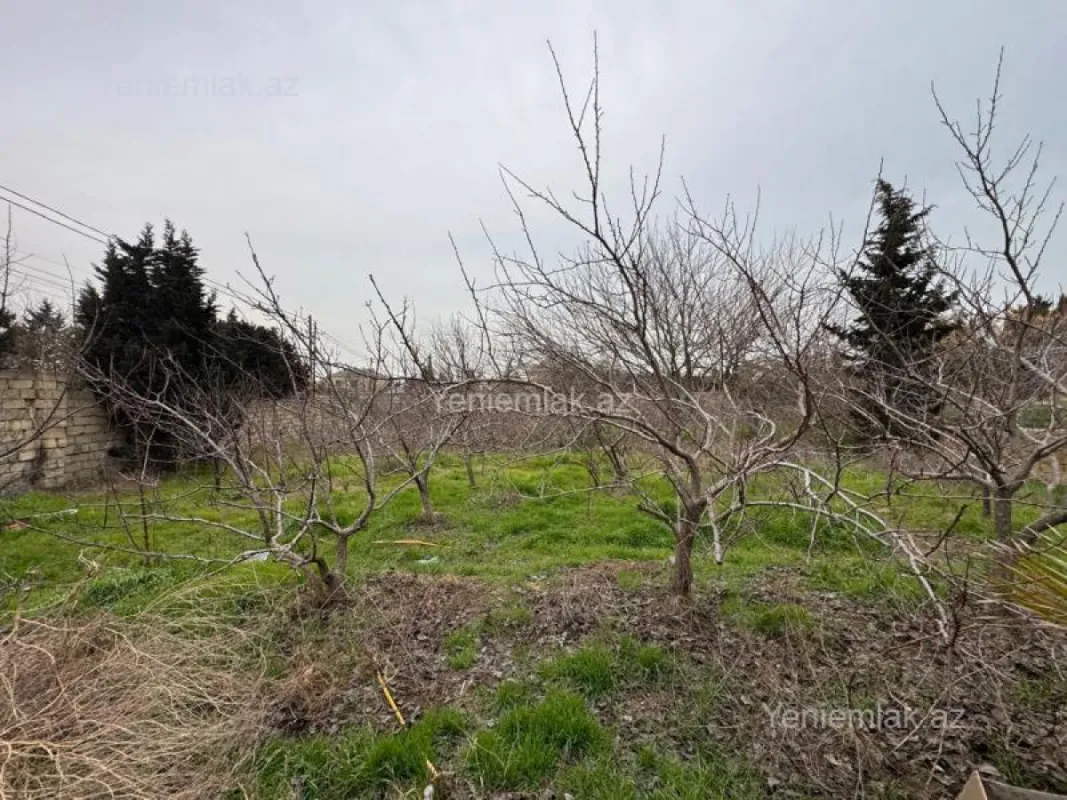 Satılır torpaq sahəsi