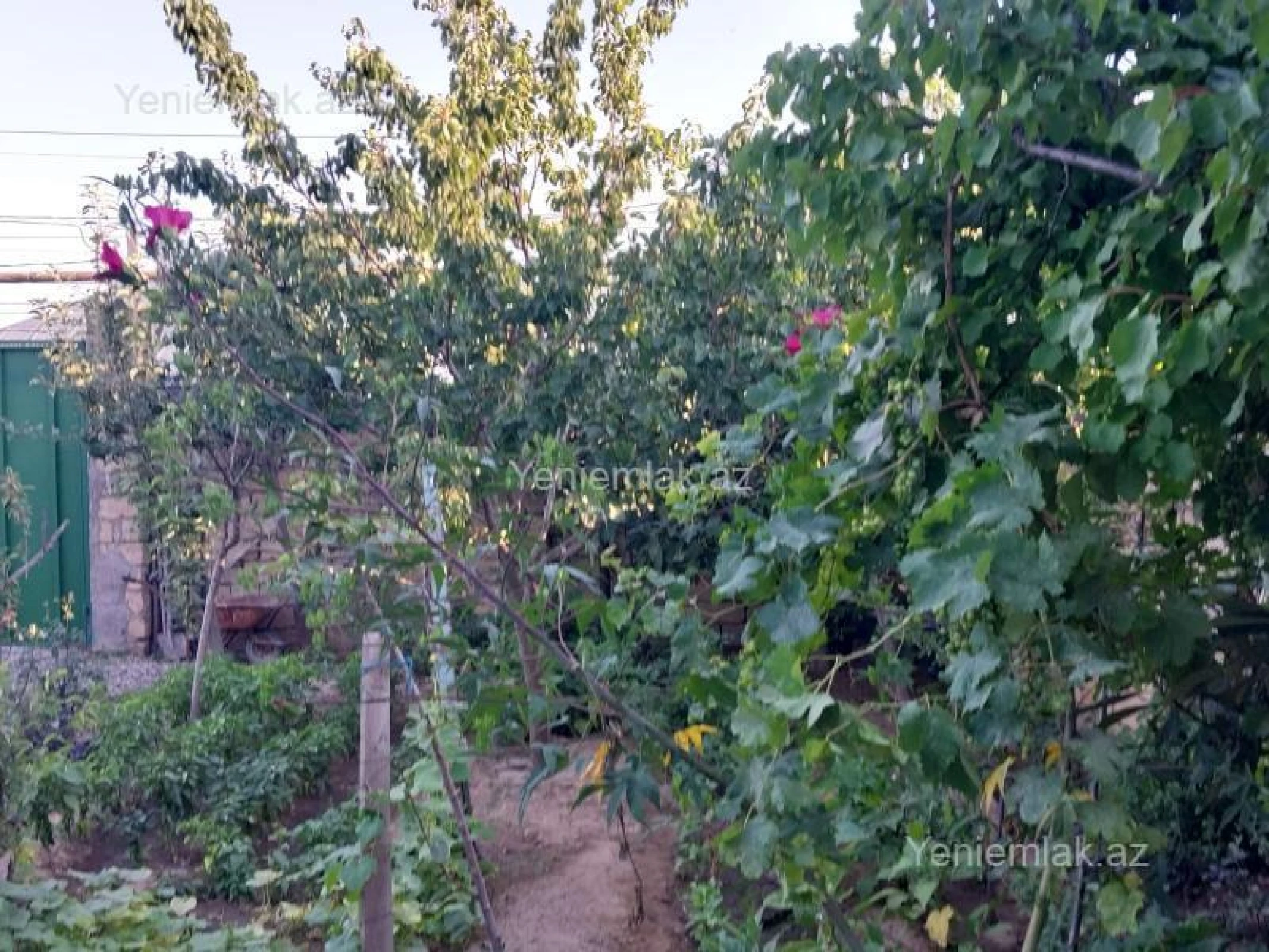 Satılır 4 otaqlı həyət evi 120 m²