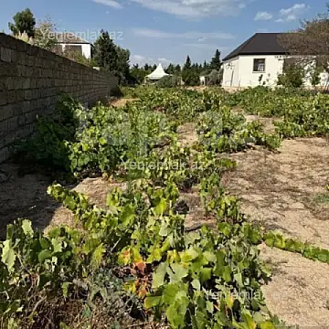 Satılır torpaq sahəsi — Bakı, Sabunçu