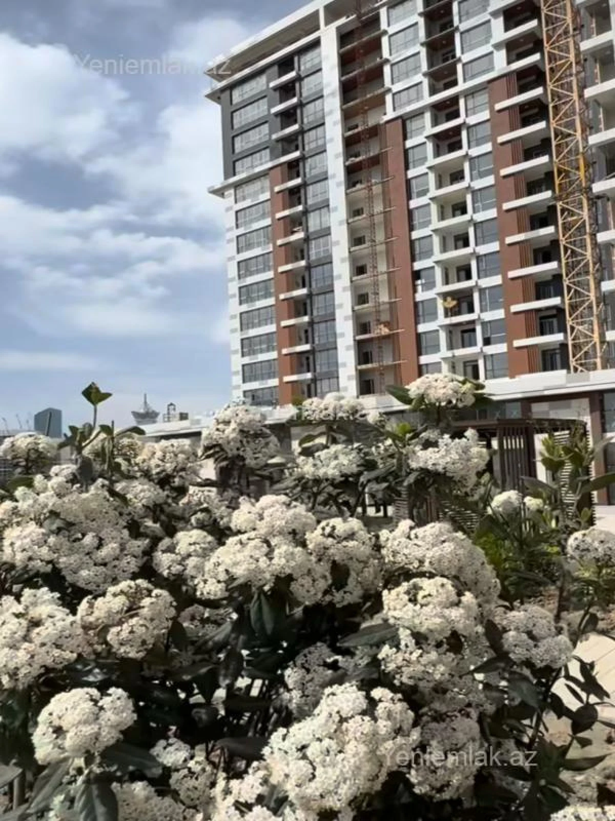 Satılır 3 otaqlı yeni tikili 145 m²