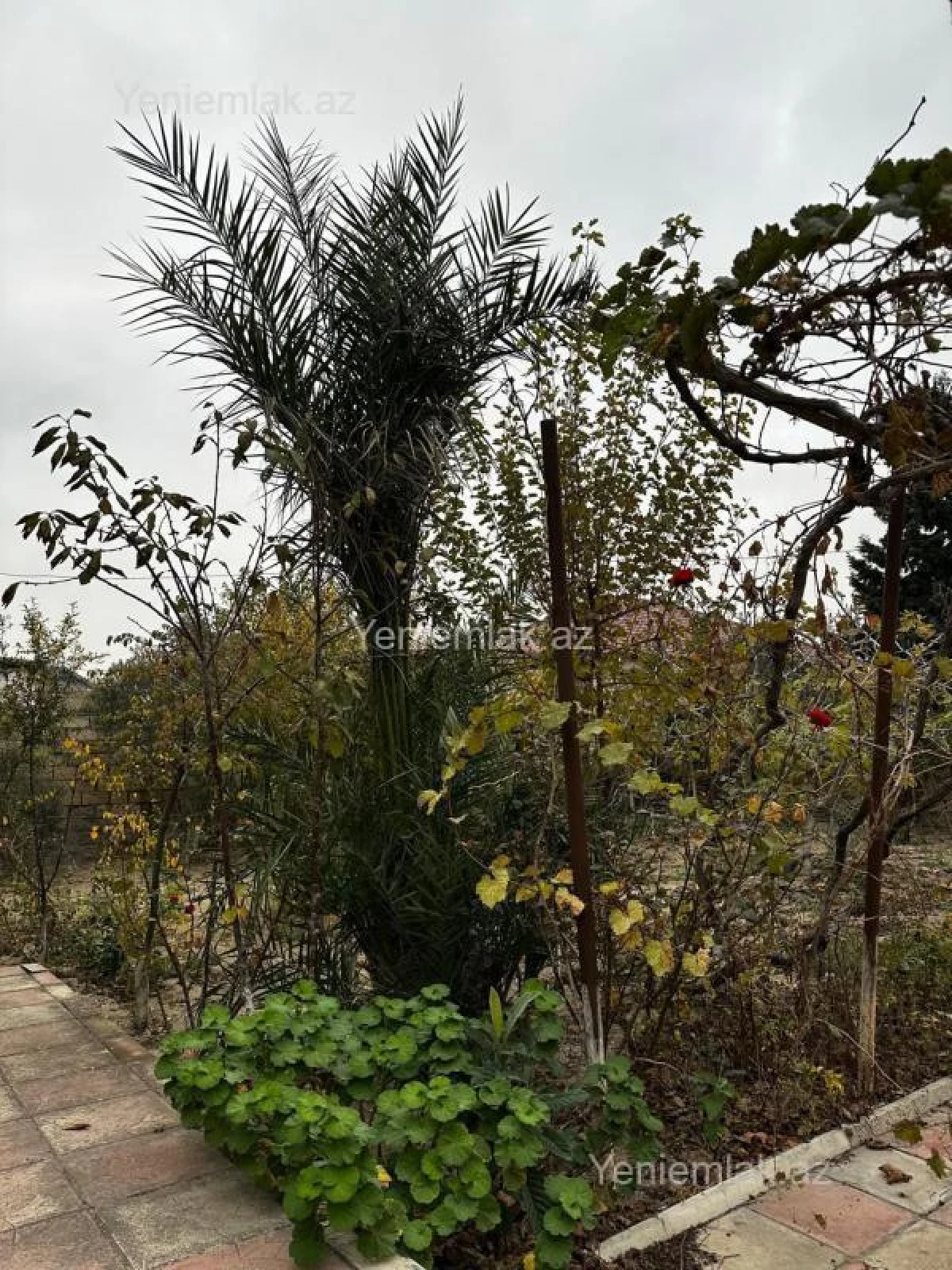 Satılır 4 otaqlı həyət evi 160 m²