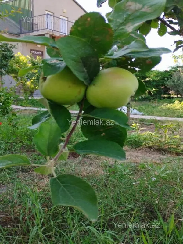 Satılır 5 otaqlı həyət evi 180 m²