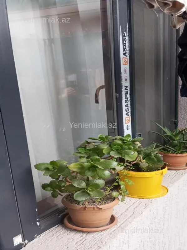 Satılır 1 otaqlı yeni tikili 35 m²