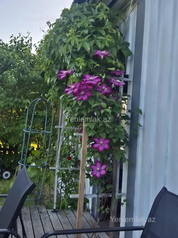 Satılır 3 otaqlı həyət evi 180 m²