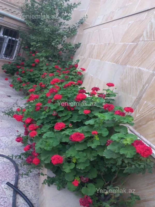 Satılır 8 otaqlı həyət evi 220 m²