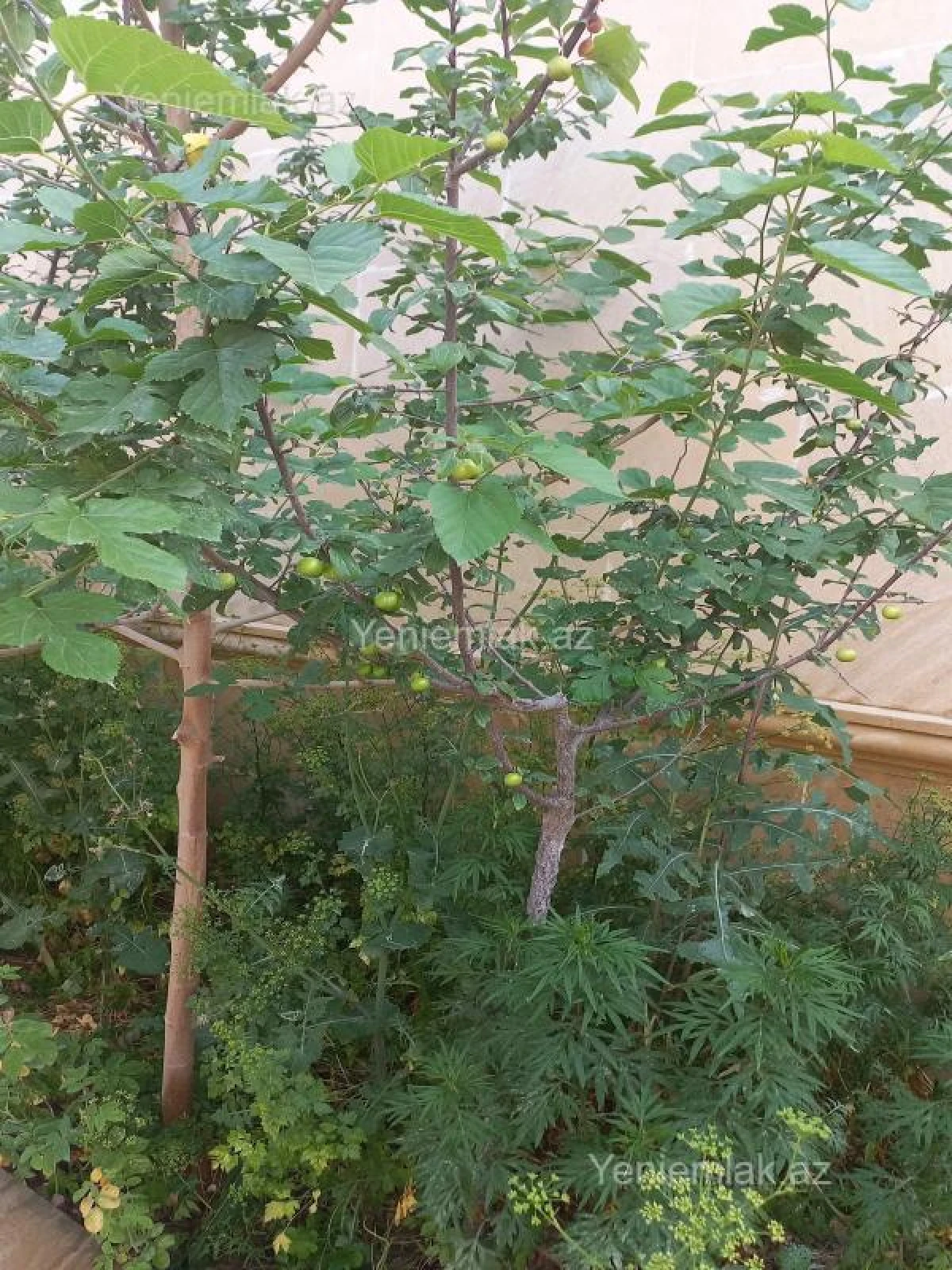 Satılır 8 otaqlı həyət evi 220 m²