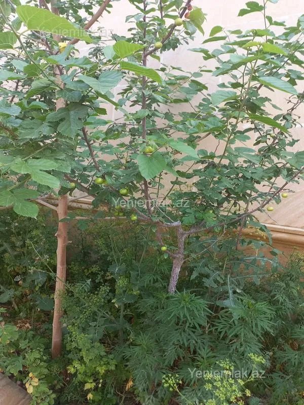 Satılır 8 otaqlı həyət evi 220 m²