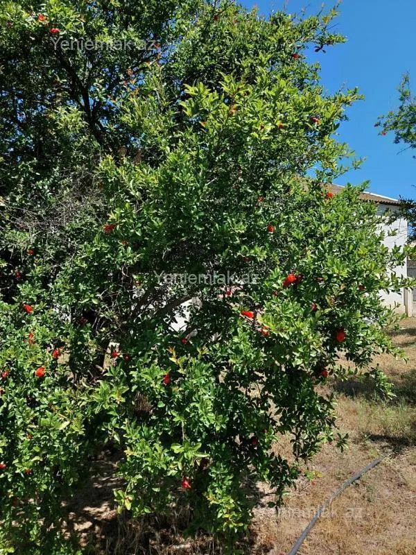 Satılır 3 otaqlı həyət evi 100 m²