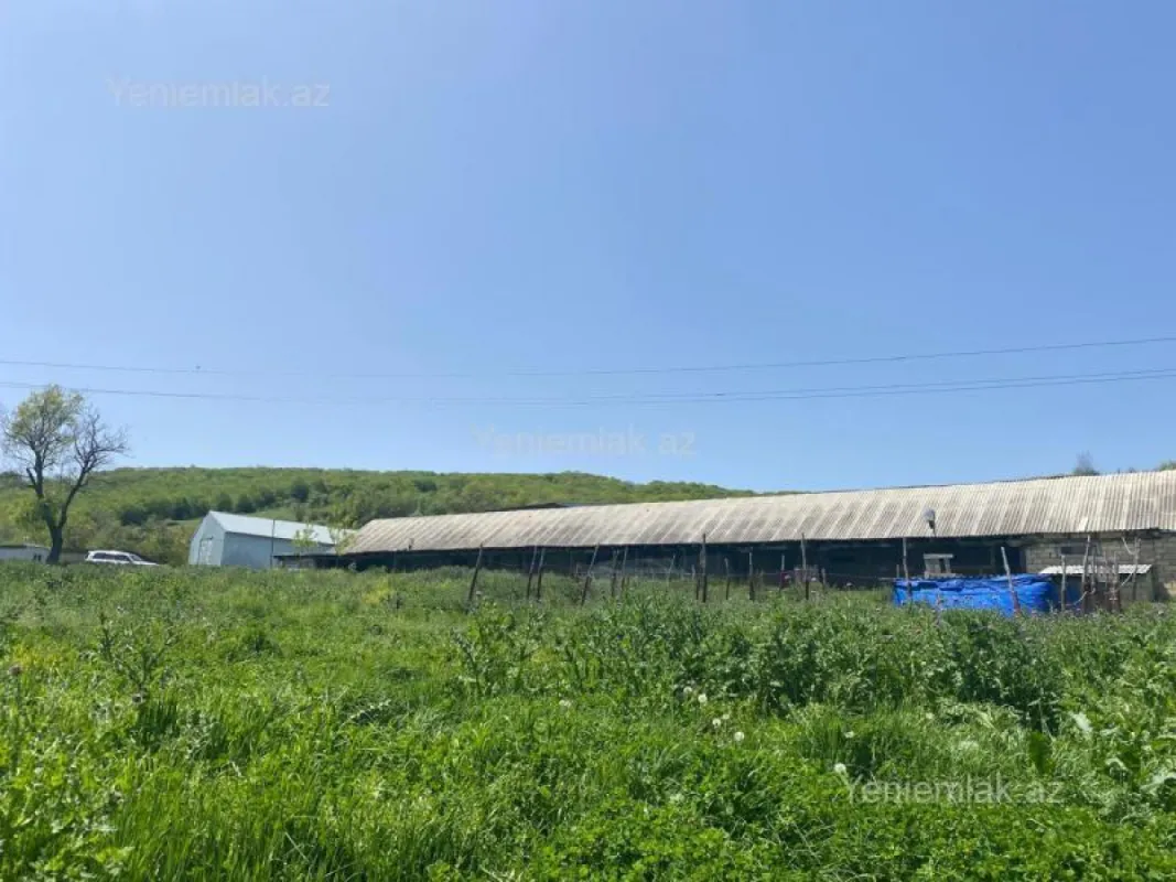 Satılır 10 otaqlı obyekt 2500 m²