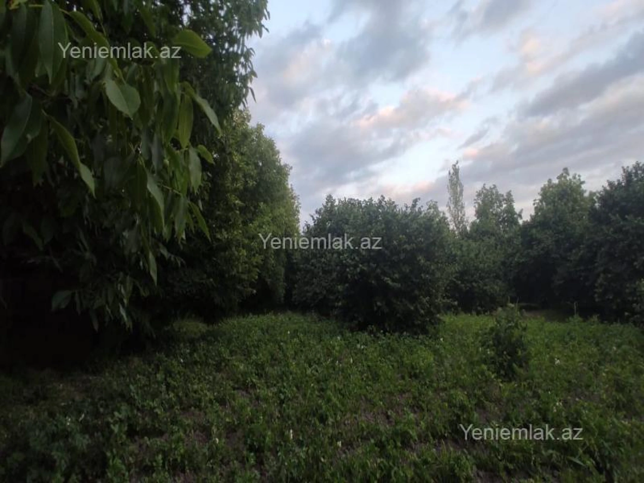 Satılır torpaq sahəsi