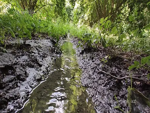 Satılır torpaq sahəsi — Qəbələ