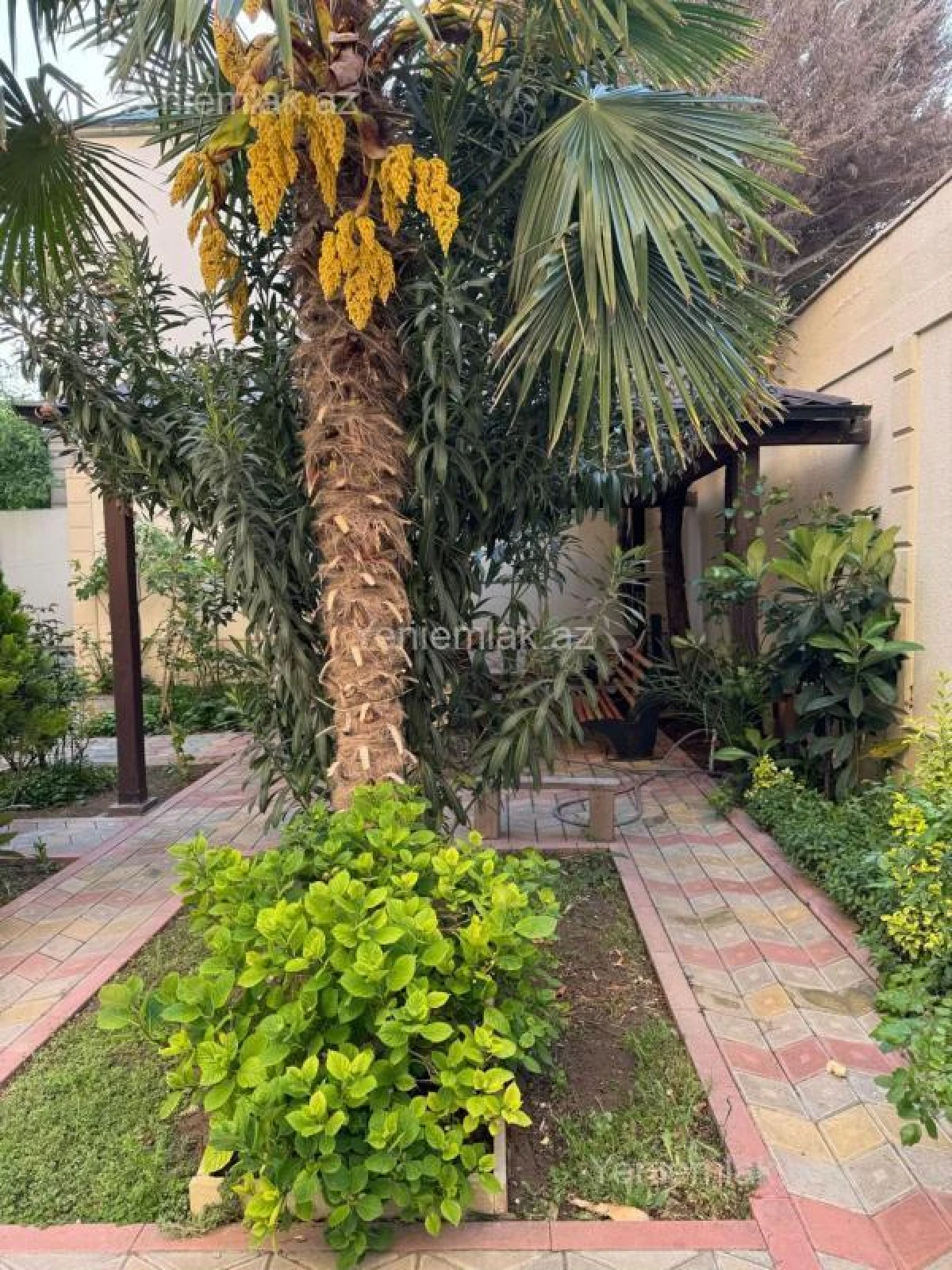 Satılır 7 otaqlı obyekt 370 m²